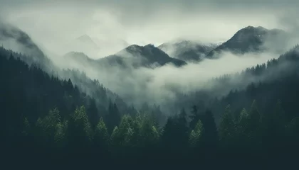 Foto op Aluminium Misty foggy mountain landscape with fir forest and copyspace in vintage retro hipster style © msroster