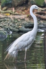 Port Douglas, Queensland, Australia