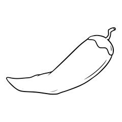 chili icon illustration hand drawn outline isolated vector