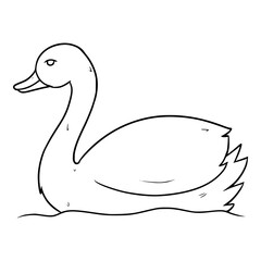swiming swan lustration hand drawn outline isolated vector