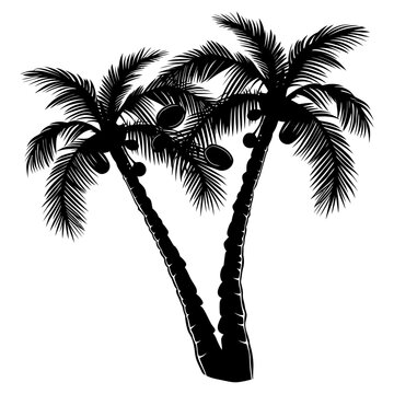 Silhouette Palm Dates Black Color Only