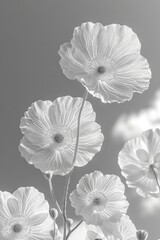 abstract gentle transparent flowers, cyber silverpoint impressionism.