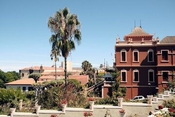 Fototapeta na wymiar Tropical gardens in La Orotava town, Tenerife, Canary ,Spain
