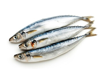 White background top view preserves isolated sardines