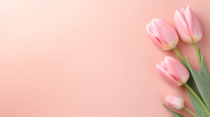 Women's Day, Valentine's Day, Mother's Day background concept, empty floral background with copy space