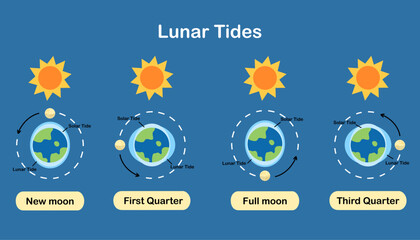 Cause of tides. Moon tides, Lunar tides. Earth’s tide cartoon. Astronomy science infographic, education, banner, background, diagram. Vector and illustration.