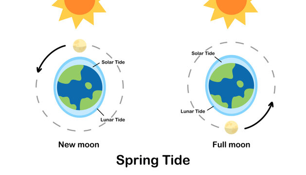Spring tide. Moon tides, Lunar tides. Earth’s tide cartoon. Astronomy science infographic, education, banner, background, diagram. Vector and illustration.