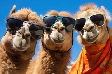 Fotobehang Three camels face wearing sunglasses, Camel wearing sunglasses against blue sky with clouds. 3d rendering. Ai generated © Tanu