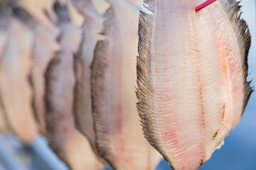 Scenery of dried flounder in a quiet fishing village - flounder, Pleuronectidae