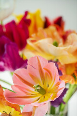 Obraz na płótnie Canvas spring tulips in the vase