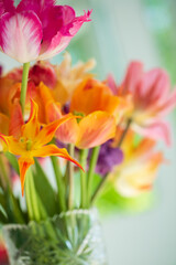 spring tulips in the vase
