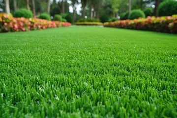 Muurstickers outdoor grass in backyard landscaping style inspiration ideas © NikahGeh