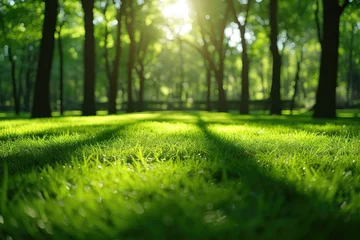 Deurstickers outdoor grass in backyard landscaping style inspiration ideas © NikahGeh