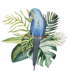 Hand drawn parrot with tropical leaves, watercolor