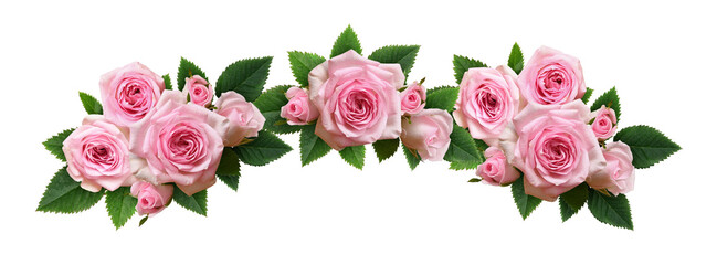 Pink rose flowers with green leaves in an arch floral arrangement  isolated on white or transparent background