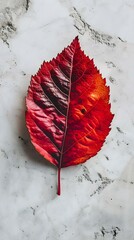 a red leaf laying on a marble surface