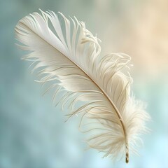 Fototapeta premium a close up of a white feather on a blue background