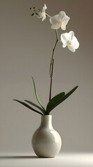 a white vase with a single flower in it