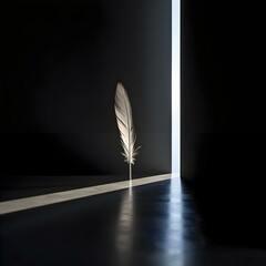 a white feather sitting on top of a black floor