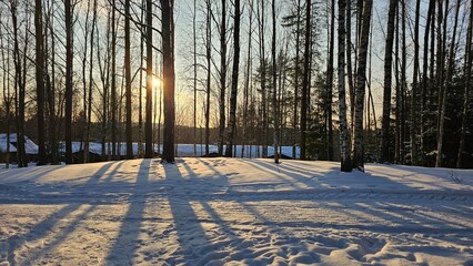 beautiful sunset in the winter snowy forest