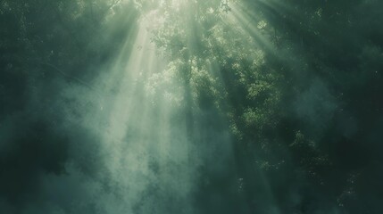 Shafts of sunlight break through the mist, casting a mystical light in the dense, green forest ambiance.