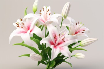 Fototapeta na wymiar Plant pink lily gardening white beauty nature flower green blossom blooming summer