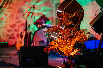 Riga, Latvia - January 18, 2024 - Illuminated plant in the foreground with musical instruments and...