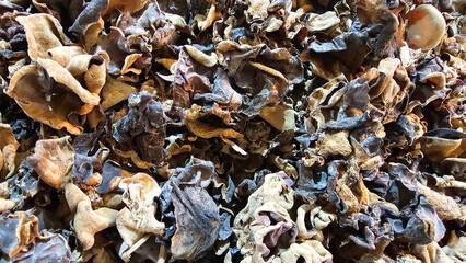 Dried Wood Ear Mushrooms Texture Background