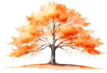 tree watercolor painted, isolated on white, transparent