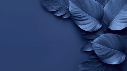 Several leaves are elegantly arranged on a blue background