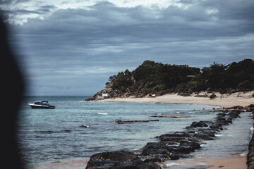 Portsea foreshore