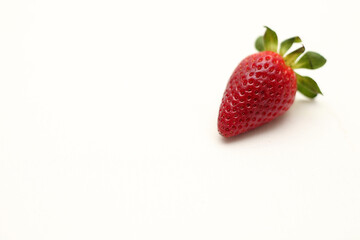 Ernährung