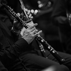 Hands of a musician playing the oboe in an orchestra in black and white - 733001439