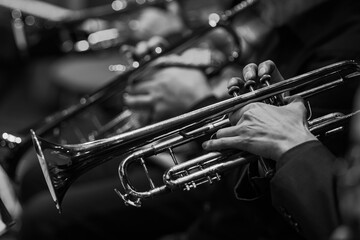 Trumpet in the hands of a musician in an orchestra in black and white - 733001440