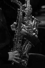 Hands of a girl playing the saxophone in an orchestra in black and white - 733001449