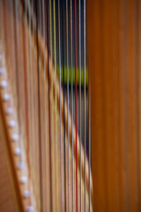 Fragment of harp strings close-up - 733001451