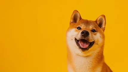 Tuinposter Happy shiba inu dog on yellow. Red-haired Japanese dog smile portrait. AI Generative © We3 Animal