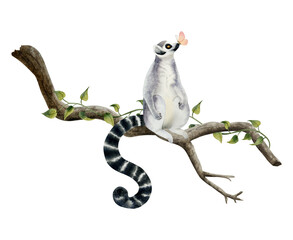 Funny lemur with pink butterfly on its nose sitting on a branch with tropical vine watercolor illustration isolated on white background. Hand drawn cute tropical animal with long tail - obrazy, fototapety, plakaty