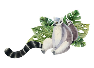 Mother lemur with a cub sitting in tropical palm leaves watercolor illustration isolated on white background. Cute Madagascar ring-tailed female monkey with baby © Elena Malgina
