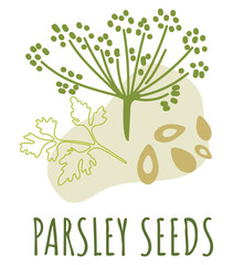 Trendy illustration of parsley seeds. Template for modern abstract print design. Modern abstract design template. Web banner template.