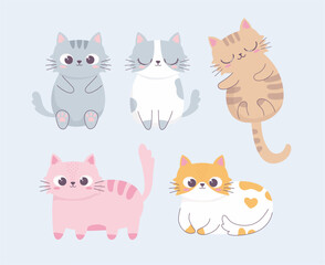 cute cat different pose cartoon animal funny character vector