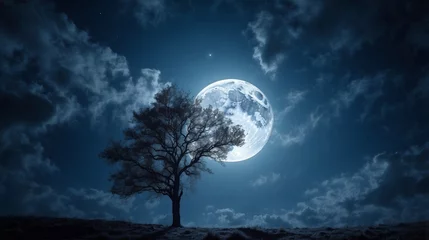 Crédence de cuisine en verre imprimé Pleine Lune arbre 月夜の空　Generative AI