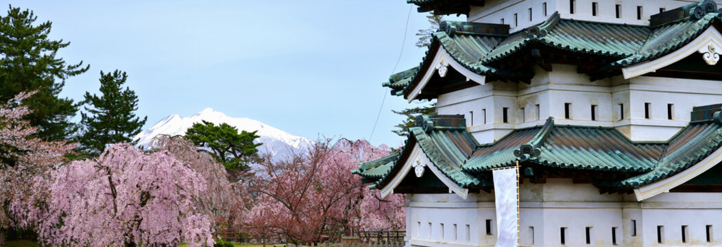 Panoramic iwaki mountain and hirosaki castle in Spring season.