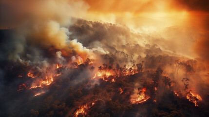 Fototapeta na wymiar Wild fire in the forest aerial view