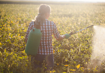 woman in a green backpack with a pressure garden sprayer spraying soybeans against diseases and pests - obrazy, fototapety, plakaty