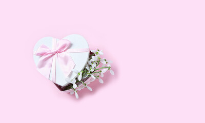 heart box with snowdrop flowers on pink backdrop. Spring background. romantic gentle image. hello...