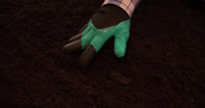 A gloved hand levels the ground before planting vegetable seeds. Close-up. Leveling chernozem with a hand in a special glove on a garden bed. The hand runs along the soft, loose earth.