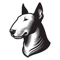 White bull terrier head. Portrait of a dog. Vintage engraving illustration. Icon, logo, emblem. Isolated object. Black and white. Outline vector illustration	