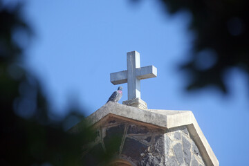Cross and dove, Church of the Primacy of St Peter, Sea of Galilee, Tabgha, Israel