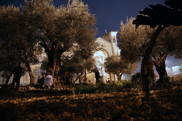 Pilgrims praying in the Garden of Gethsemane, Jerusalem, Israel